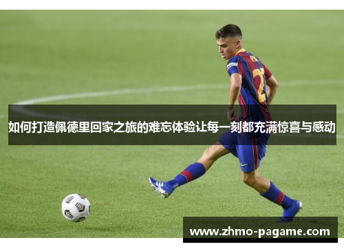 如何打造佩德里回家之旅的难忘体验让每一刻都充满惊喜与感动 如何打造佩德里回家之旅的难忘体验让每一刻都充满惊喜与感动