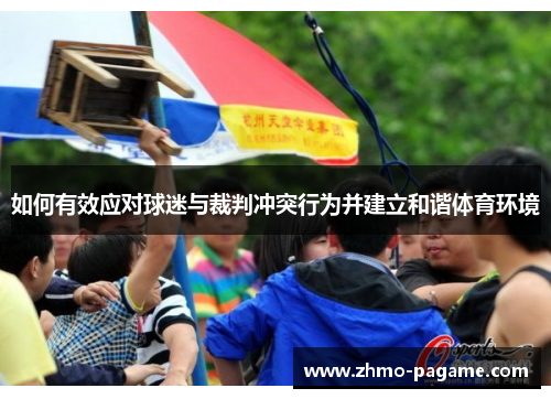 如何有效应对球迷与裁判冲突行为并建立和谐体育环境 如何有效应对球迷与裁判冲突行为并建立和谐体育环境