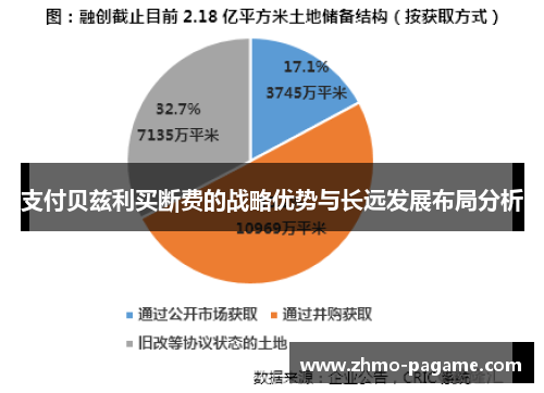 支付贝兹利买断费的战略优势与长远发展布局分析 支付贝兹利买断费的战略优势与长远发展布局分析