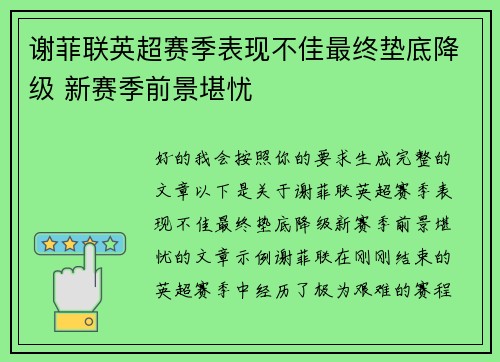 谢菲联英超赛季表现不佳最终垫底降级 新赛季前景堪忧